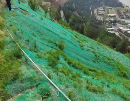 Three-Dimensional Geomat for Riverbank Erosion Control & Green Restoration